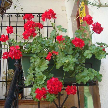 Casa Babylon Backpakers Hostel Málaga Extérieur photo